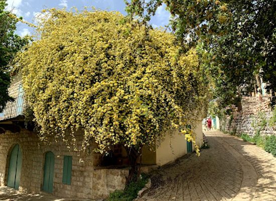 lebanon/zahle/attraction/domaine-des-tourelles