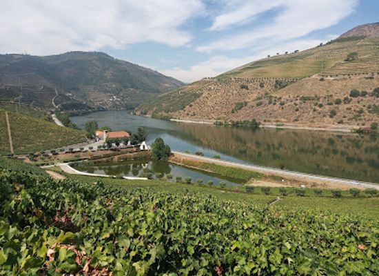 portugal/douro-valley/attraction/quintadosfrades