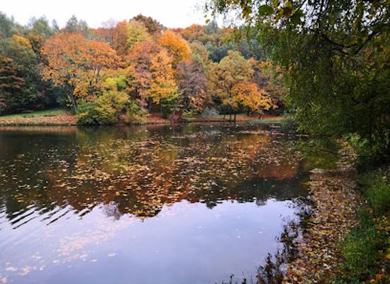 lithuania/vilnius-region/attraction/markuciai-park
