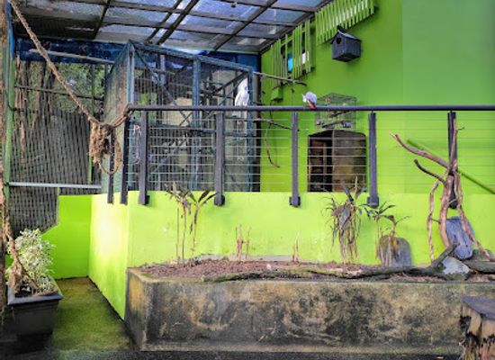singapore/sentosa/attraction/bird-aviary