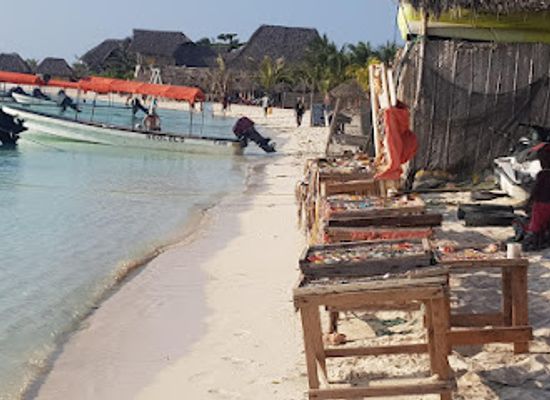tanzania/zanzibar-archipelago/attraction/big-body-spice-farm