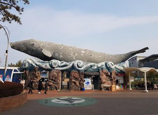 south-korea/yeongnam-region/attraction/jangsaengpo-whale-museum-ulsan