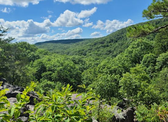 missouri/black-river-basin/attraction/taum-sauk-mountain-state-park