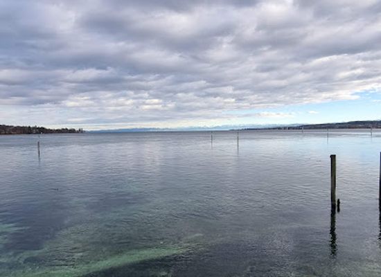 germany/lake-constance/attraction/dominikanerinsel