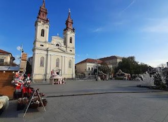 romania/arad/attraction/parcul-piata-catedralei-vechi