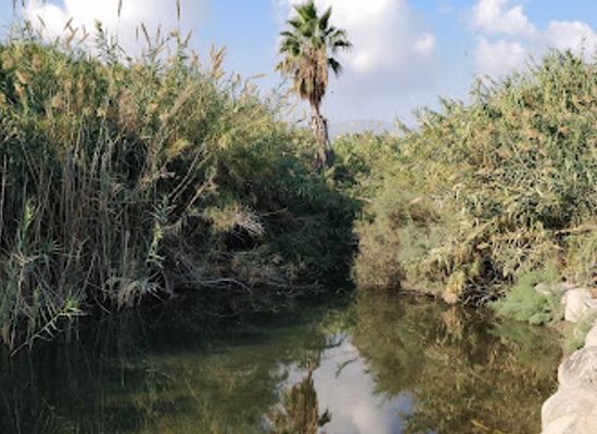 israel/beit-she-an/attraction/ayn-arif