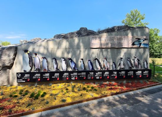 poland/silesia/attraction/silesian-zoological-park