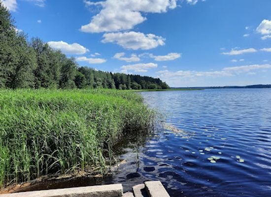 latvia/pape-nature-reserve/attraction/the-ethnographic-open-air-museum-of-latvia