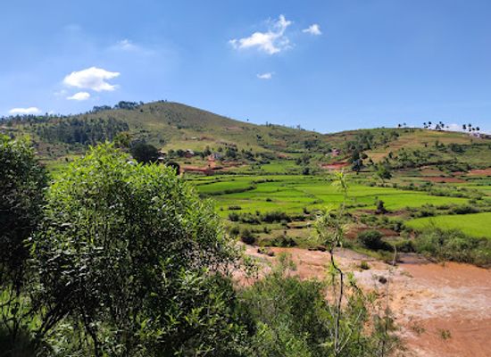 madagascar/antananarivo/attraction/lemurs-park