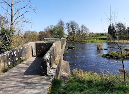 ireland/county-limerick/attraction/fairy-woods