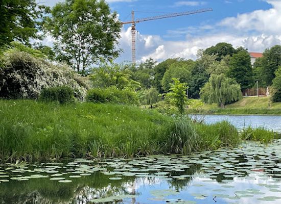 poland/warsaw/praga/attraction/skaryszewski-park-in-the-name-of-ignacy-jan-paderewski