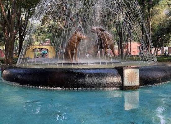 mexico/mexico-city/attraction/fuente-de-los-coyotes