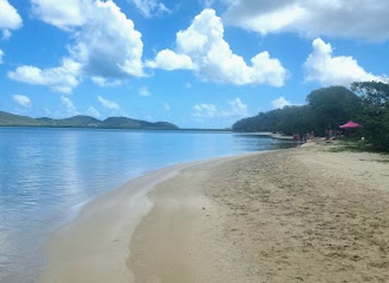 antigua-and-barbuda/redonda/attraction/pig-s-paradise-antigua