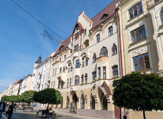 ukraine/chernivtsi/attraction/german-house