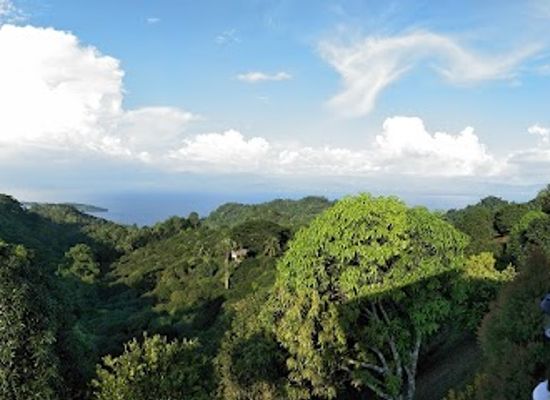 philippines/davao-region/attraction/isla-farms-highlands