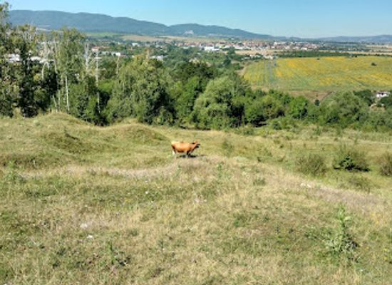 bulgaria/sofia-valley/attraction/west-park