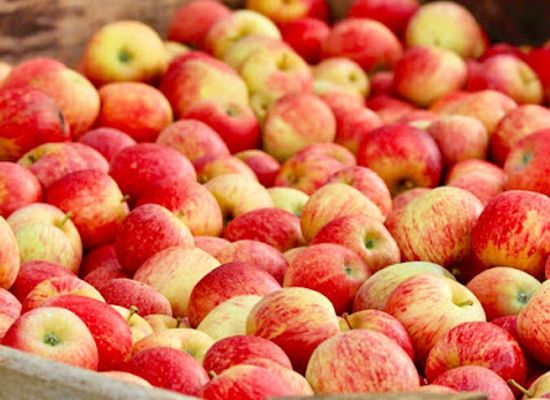 california/gold-country/attraction/apple-hill