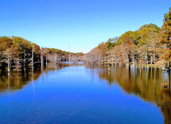 louisiana/monroe/attraction/black-bayou-lake-national-wildlife-refuge-visitor-center