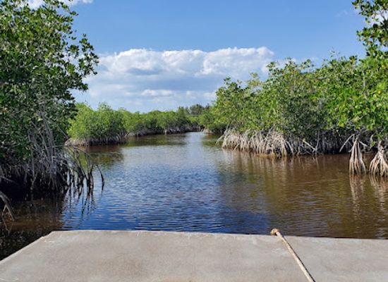 florida/fakahatchee-strand-preserve-state-park/attraction/jungle-erv-s-airboat-tours-mangrove-maze