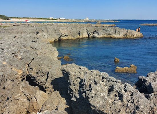 italy/salento/attraction/riserva-naturale-orientata-regionale-palude-del-conte-e-duna-costiera-bosco-dell-arneo
