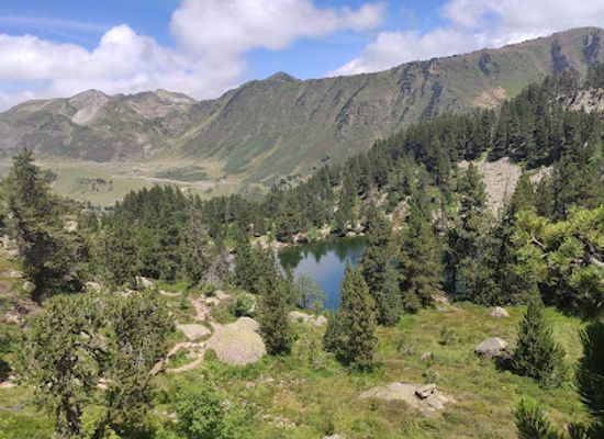 spain/aiguestortes-i-estany-de-sant-maurici-national-park/attraction/cascada-del-gerber-o-salt-de-comials