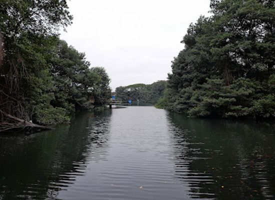 ecuador/los-rios-region/attraction/malecon-del-salado