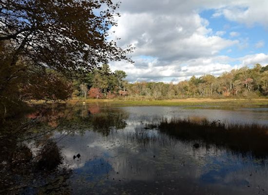 rhode-island/arcadia-management-area/attraction/browning-mill-pond