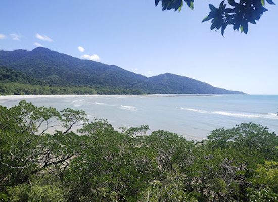 australia/cape-tribulation/attraction/cape-tribulation-daintree-night-walks-spotlighting-day-walk-tours