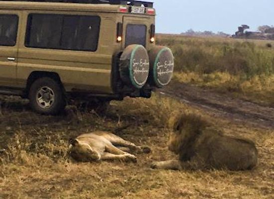 tanzania/arusha/attraction/see-endless-adventures