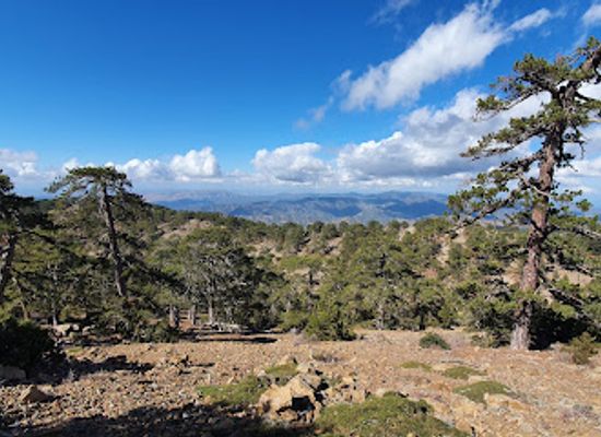 cyprus/troodos/attraction/atalanti-nature-trail-loop