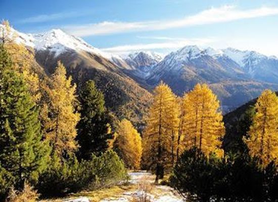 switzerland/klosters/attraction/swiss-national-park