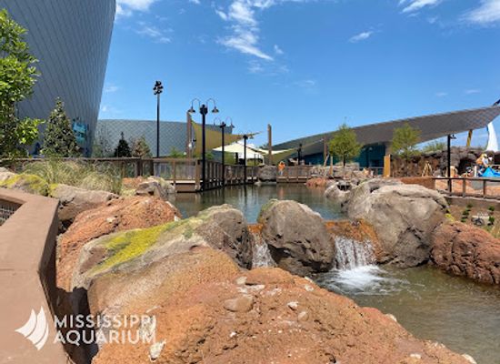 mississippi/the-gulf-coast/attraction/mississippi-aquarium