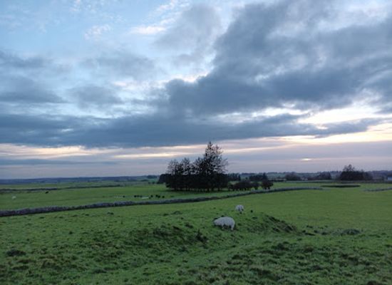 ireland/county-roscommon/attraction/rathcroghan-mound