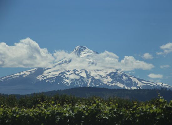 oregon/mt-hood-territory/attraction/mt-hood-summit