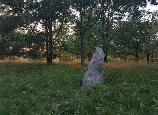sweden/vastergotland/attraction/nycklabacken