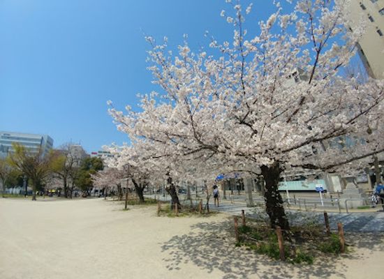 japan/fukuoka/nakasu/attraction/reisen-park