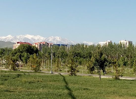 kyrgyzstan/tokmok/attraction/botanical-garden