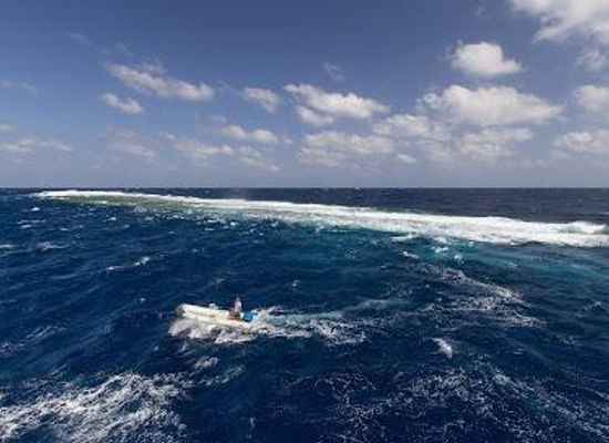 egypt/marsa-alam/attraction/elphinstone-reef