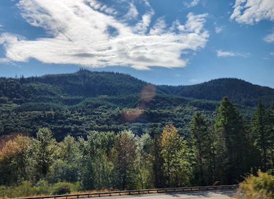 washington/bellingham/attraction/lake-padden-park