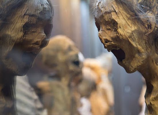 mexico/central-mexico/attraction/museum-of-the-mummies-of-guanajuato