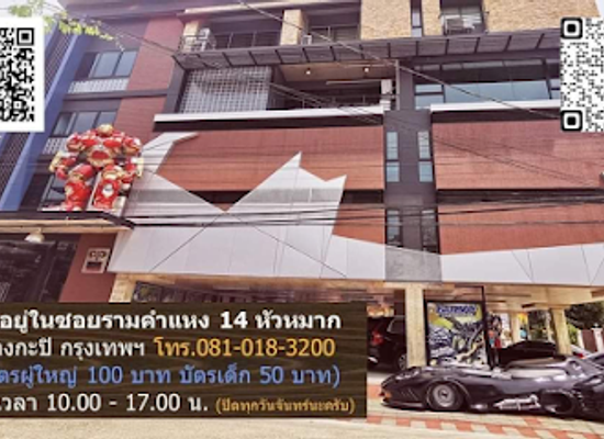 thailand/bangkok/attraction/batcat-museum-toys