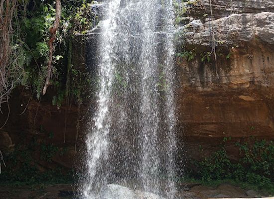 kenya/diani-beach/attraction/alfred-safaris