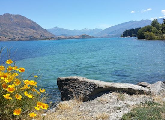 new-zealand/wanaka/attraction/eely-point-reserve