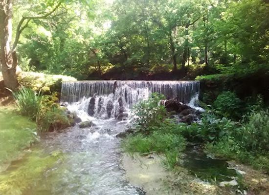 missouri/black-river-basin/attraction/reeds-spring-mill