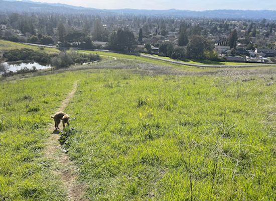 california/walnut-creek/attraction/walnut-creek-open-space