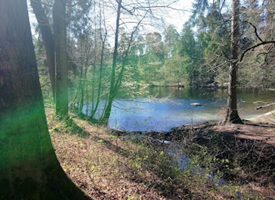 germany/teutoburg-forest/attraction/hiddeser-bent