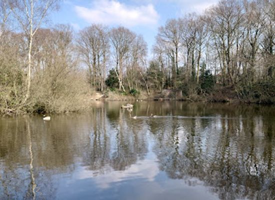 united-kingdom/nottingham/wollaton-park/attraction/harrison-s-plantation-nature-reserve