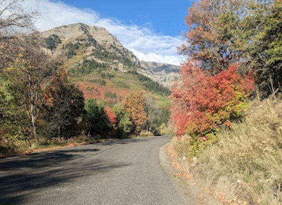 utah/provo/grandview-hill/attraction/stewart-falls