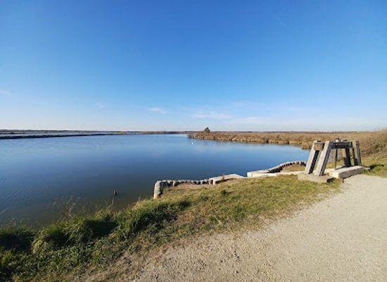 france/aquitaine-coast/attraction/the-domain-of-certes-graveyron