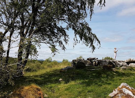 ireland/county-cavan/attraction/giants-leap-wedge-tomb